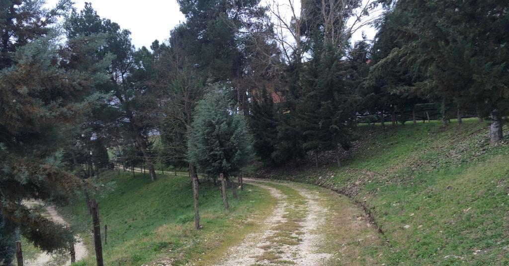 Hotel D.G. Garden Benevento Buitenkant foto